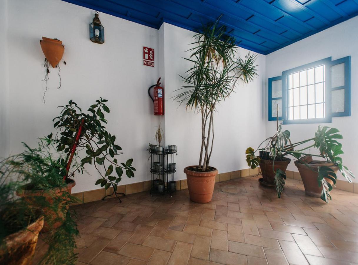 Rentalsevilla Vidrio I Zewnętrze zdjęcie